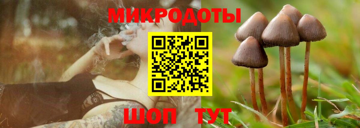 Костомукша  Галлюциногенные грибы ЛСД  Вход с VPN 